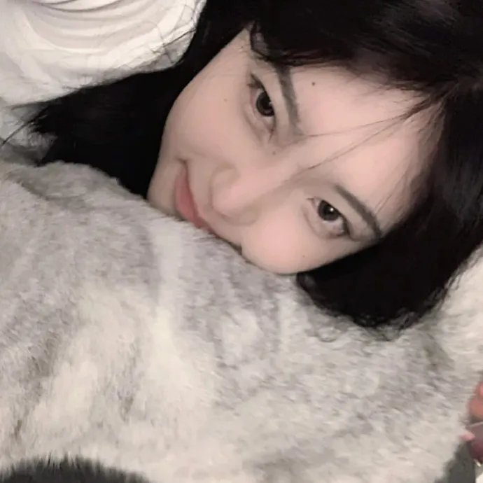 坏狗